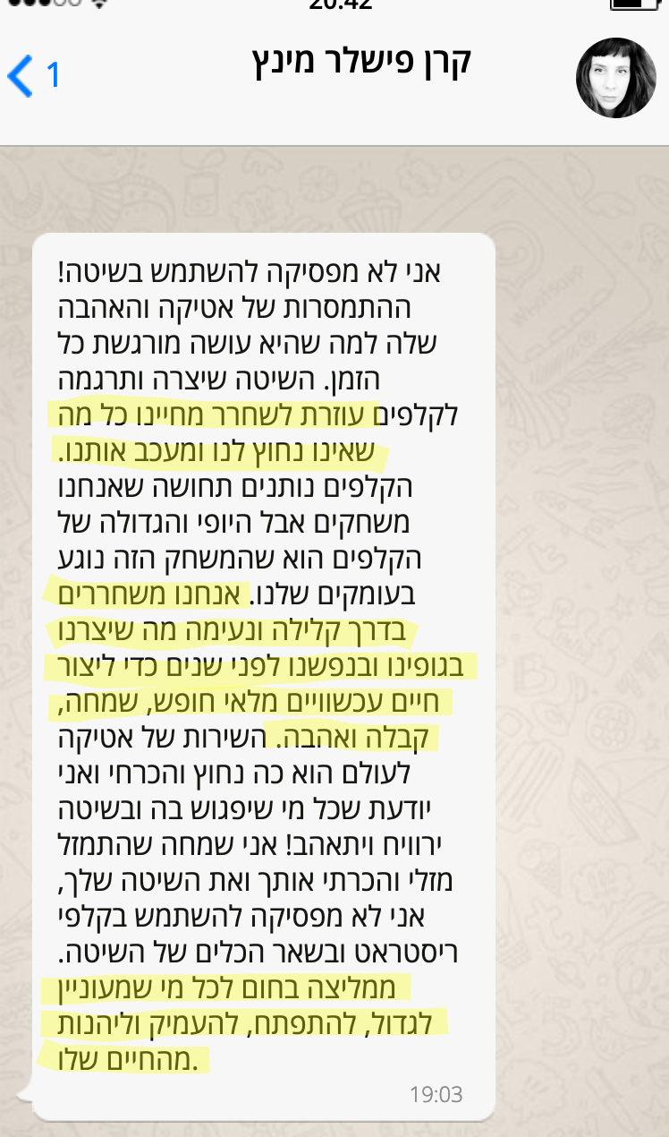 צילום מסך מקרן פישלר מינץ