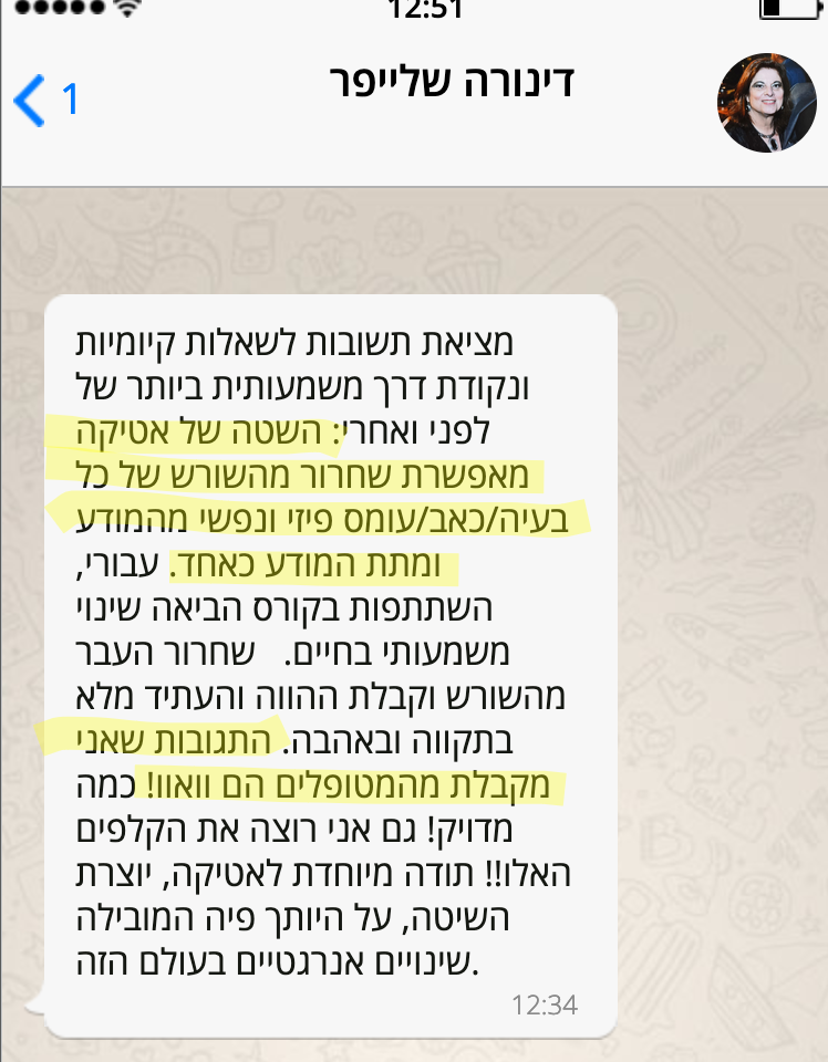 צילום מסך מדינורה שלייפר